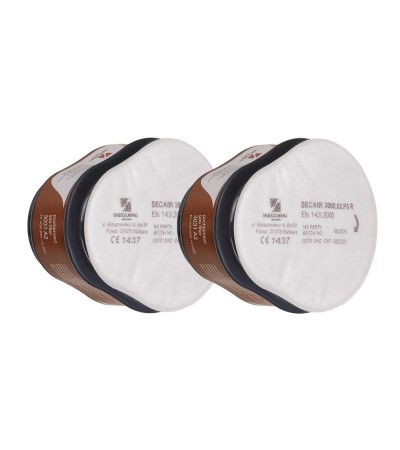A2 Gas filter+P3 Particulate filter